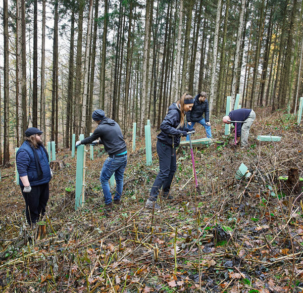 Pflanzaktion Eichen und Hainbuchen